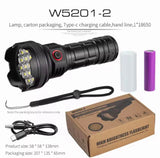 High Brightness 19 LED Flashlight | W5201-2