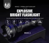 High Brightness 19 LED Flashlight | W5201-2